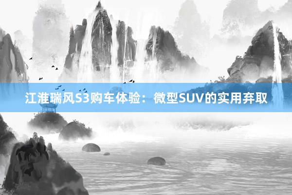 江淮瑞风S3购车体验：微型SUV的实用弃取